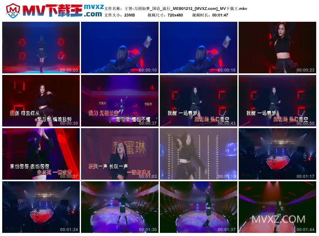 王智-刀剑如梦_国语_流行_MEB01212
